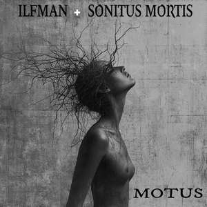 Polaroid Memories (feat. Frank Ilfman & SONITUS MORTIS)