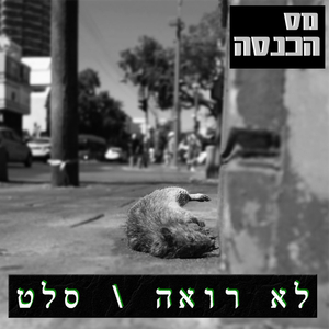 סלט
