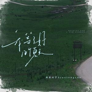 我等了好几个夏天