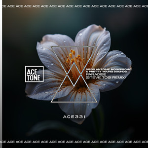 Paradise (Steve Tosi Remix)