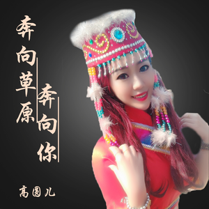 奔向草原奔向你