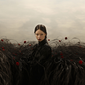 Remembering the Rose