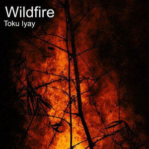 Wildfire