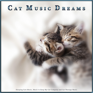Cat Music