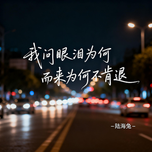 我问眼泪为何而来为何不肯退（伤感版）