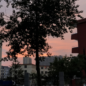 莫妮卡（cover柳爽）