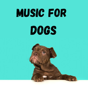 Music For Dogs Peace