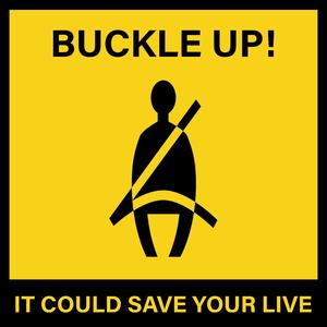 Buckle Up! (feat. pulsi)