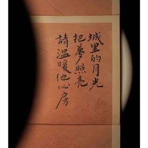 城里的月光