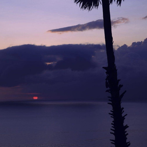 like U（Prod. Roko Tensei）