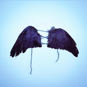 Wither