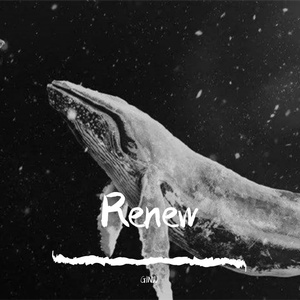 来自（Cover Version）