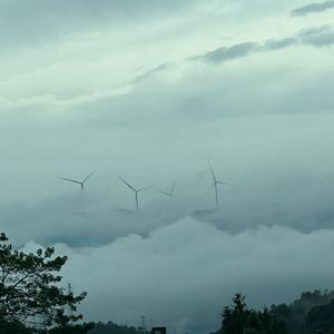 晨曦中的微笑 伴奏