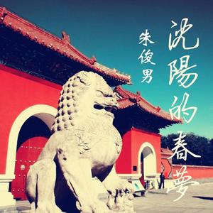 沈阳的春梦