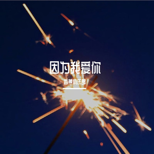 因为我爱你