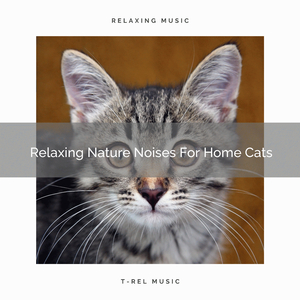 Woods Whispers For Your Cats