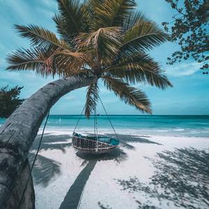 你喜欢，站在那窗台