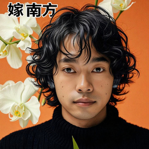 嫁南方