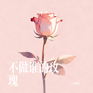 不做谁的玫瑰