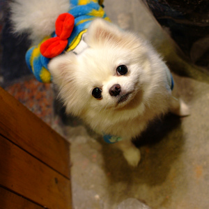 这一切没有想象的那么糟（翻自 孟大宝）