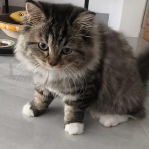 二零二六顺风顺水顺财神