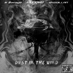 DUST IN THE WIND (feat. KidNoWo & Wyddillan)