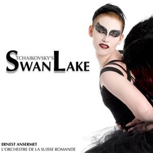 Swan Lake: Act II, No. 10 - Scene - Moderato