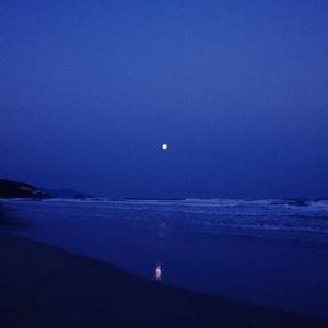 Shinny Star