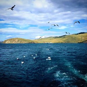 妈妈我要恋爱了 （x0.8）