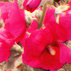 あなたのことばかり話すの