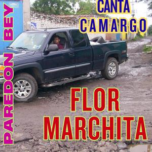 FLOR MARCHITA