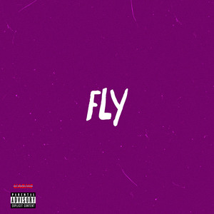 Fly