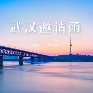武汉邀请函