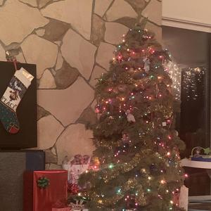 Rudolph's Laptop (feat. Winston Marshall)