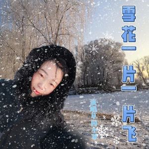 雪花一片一片飞