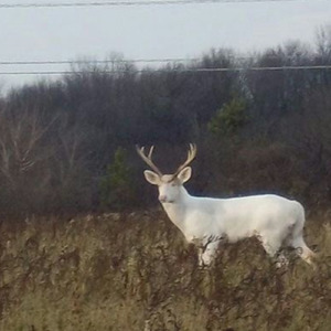 i wish we never met.