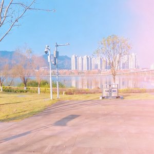 你永远不会幸福