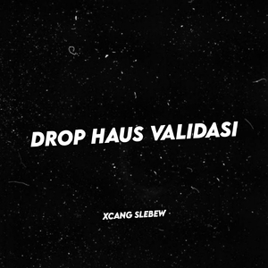 DROP HAUS VALIDASI