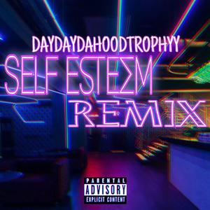 SelfEsteem-(remiix)