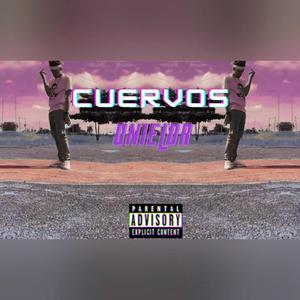 Cuervos