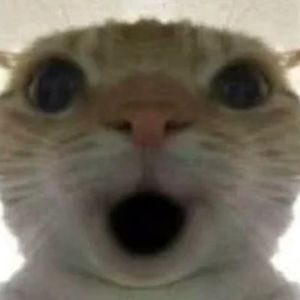 超兽堵桥（乌鲁鲁金曲）