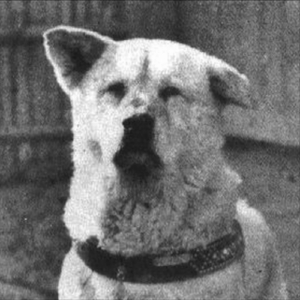 THEEFFICIENCYOFBEINGALONE(NOTLONELY)