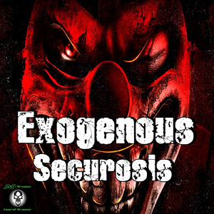Securosis (Original Mix)