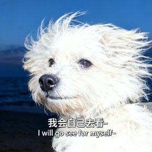 未完成的诗版本B.