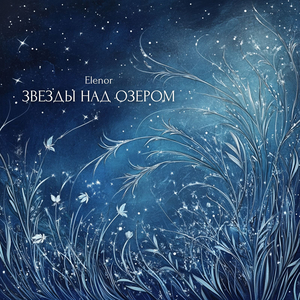 Звезды над озером