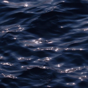 樱花草（翻自 苏白睡醒啦）