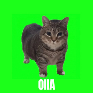OIIA OIIA