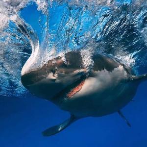 Topic-Breaking Me（Lost Mask remix）