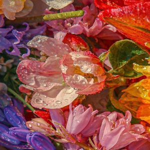 Morning Dew