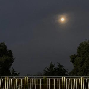 会有那么一天（翻自 JJ Lin）